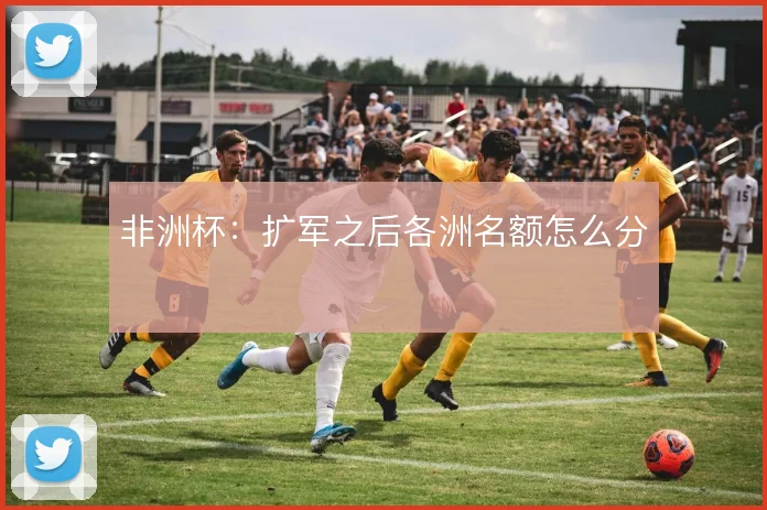 非洲杯:扩军之后各洲名额怎么分
